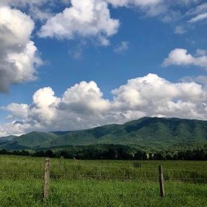 Meet your Posher, Leah